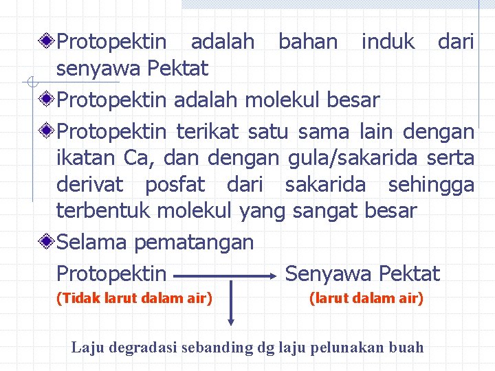 Protopektin adalah bahan induk dari senyawa Pektat Protopektin adalah molekul besar Protopektin terikat satu