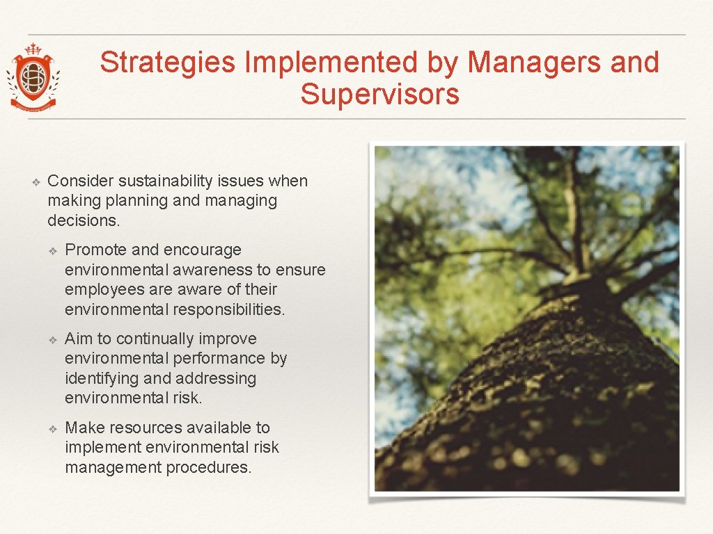 Strategies Implemented by Managers and Supervisors ❖ Consider sustainability issues when making planning and