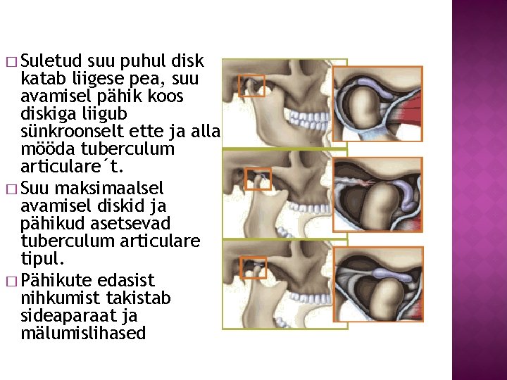 � Suletud suu puhul disk katab liigese pea, suu avamisel pähik koos diskiga liigub