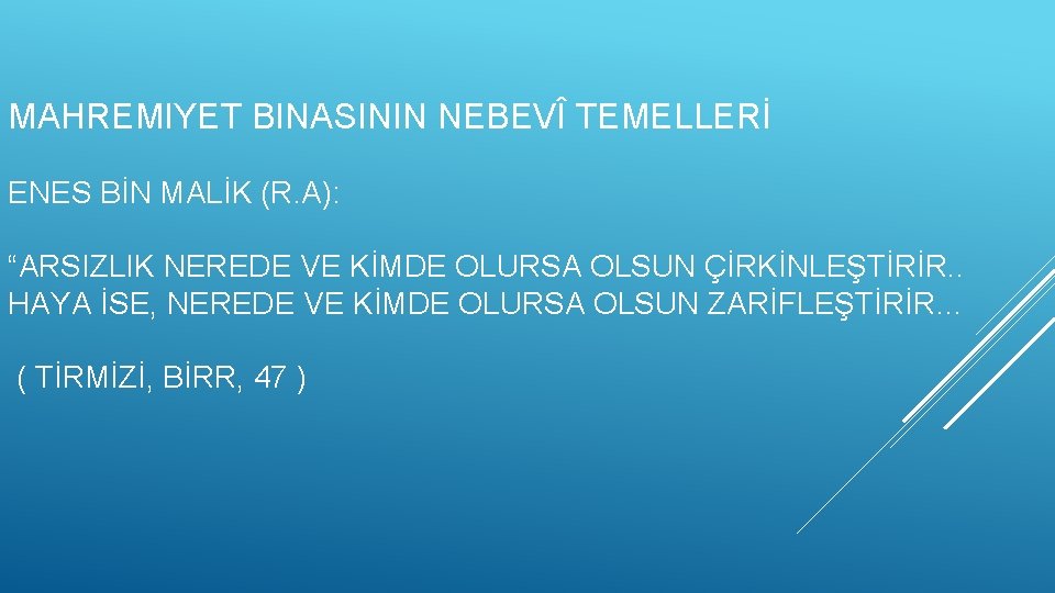 MAHREMIYET BINASININ NEBEVÎ TEMELLERİ ENES BİN MALİK (R. A): “ARSIZLIK NEREDE VE KİMDE OLURSA