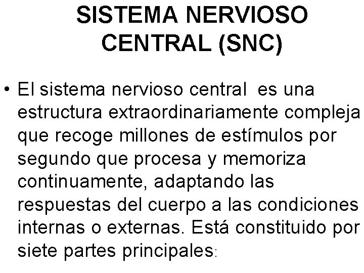 SISTEMA NERVIOSO CENTRAL (SNC) • El sistema nervioso central es una estructura extraordinariamente compleja