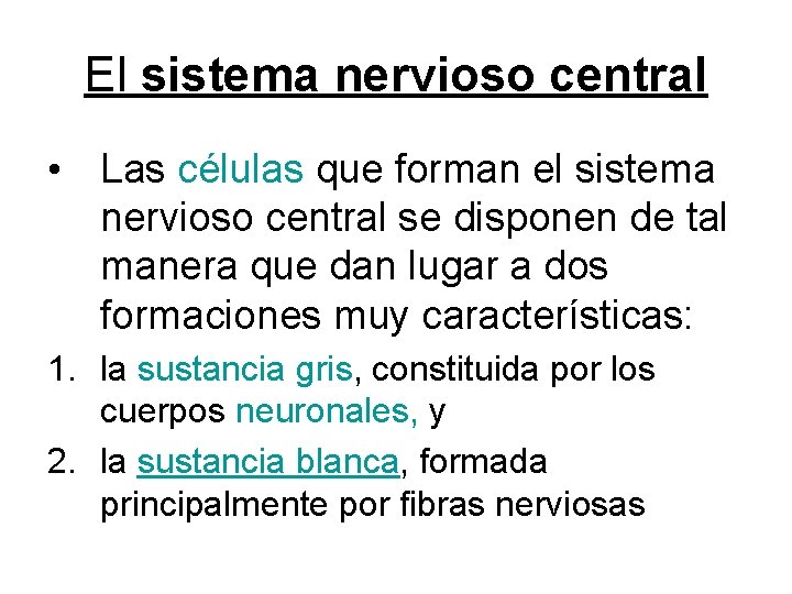 El sistema nervioso central • Las células que forman el sistema nervioso central se