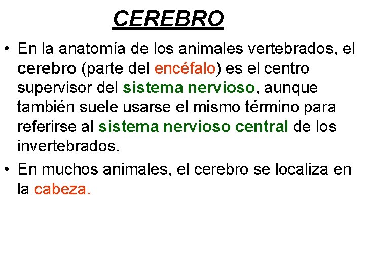 CEREBRO • En la anatomía de los animales vertebrados, el cerebro (parte del encéfalo)