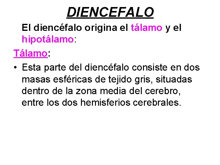 DIENCEFALO El diencéfalo origina el tálamo y el hipotálamo: Tálamo: • Esta parte del