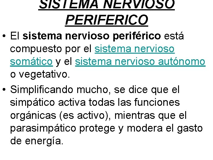 SISTEMA NERVIOSO PERIFERICO • El sistema nervioso periférico está compuesto por el sistema nervioso