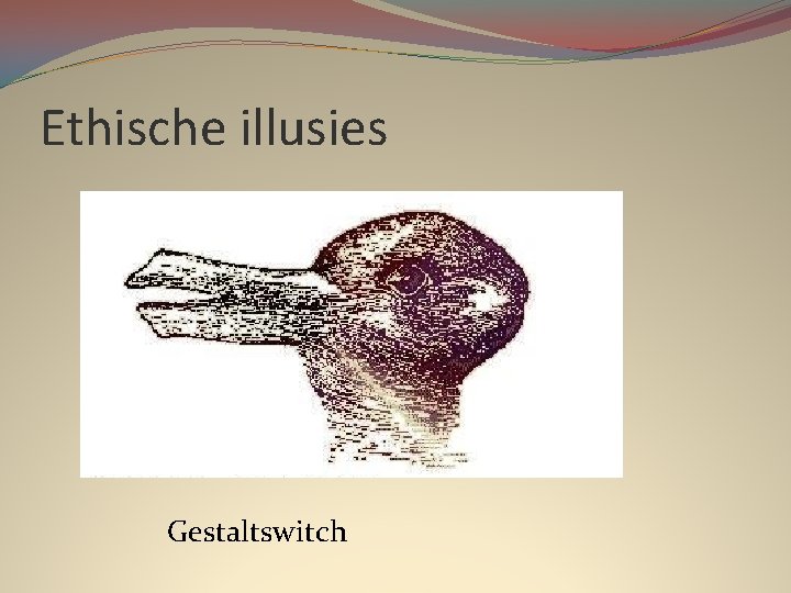 Ethische illusies Gestaltswitch 