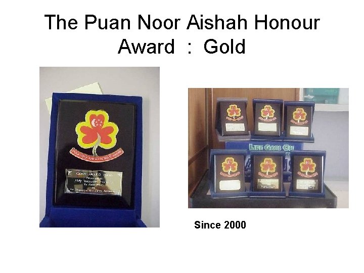 The Puan Noor Aishah Honour Award : Gold Since 2000 