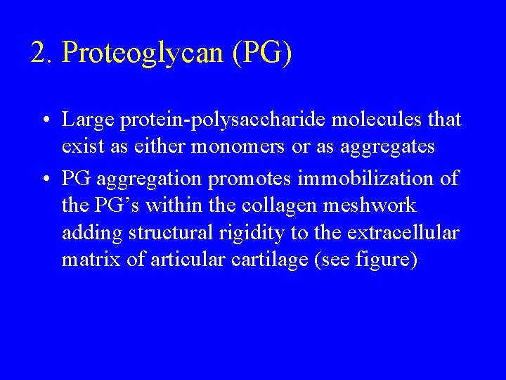 2. Proteoglycan (PG) • Large protein-polysaccharide molecules that exist as either monomers or as