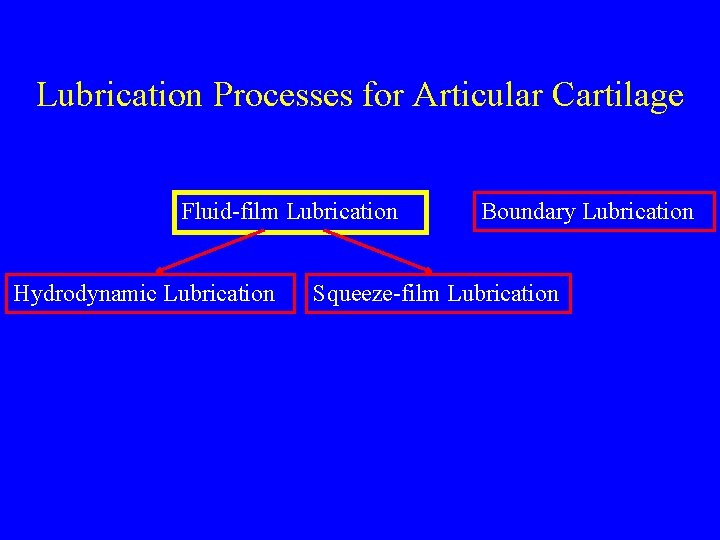 Lubrication Processes for Articular Cartilage Fluid-film Lubrication Hydrodynamic Lubrication Boundary Lubrication Squeeze-film Lubrication 