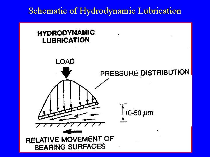 Schematic of Hydrodynamic Lubrication 