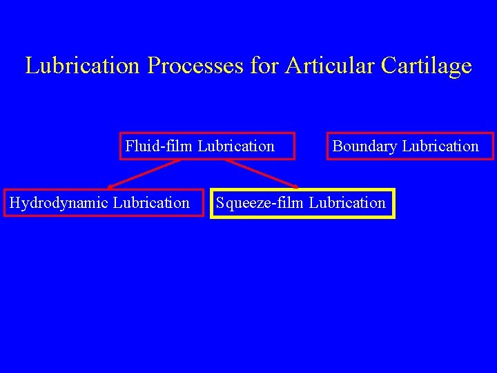 Lubrication Processes for Articular Cartilage Fluid-film Lubrication Hydrodynamic Lubrication Boundary Lubrication Squeeze-film Lubrication 