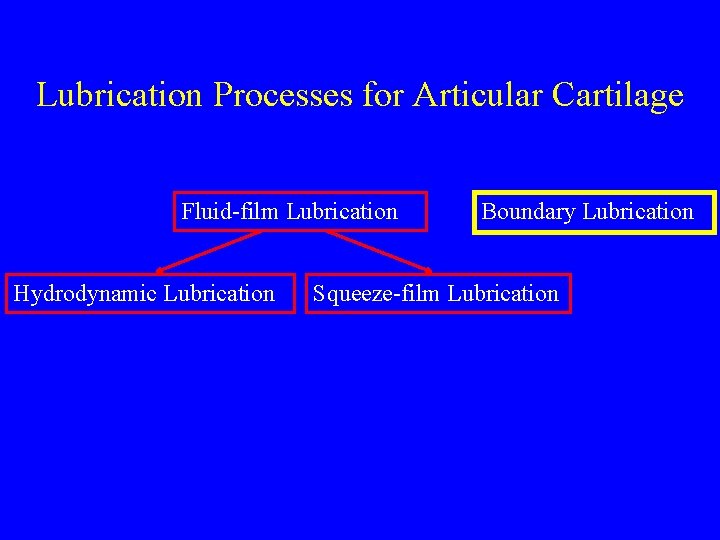 Lubrication Processes for Articular Cartilage Fluid-film Lubrication Hydrodynamic Lubrication Boundary Lubrication Squeeze-film Lubrication 