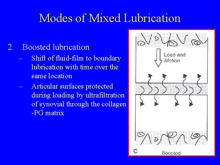 Modes of Mixed Lubrication 2. Boosted lubrication – – Shift of fluid-film to boundary