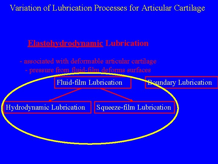 Variation of Lubrication Processes for Articular Cartilage Elastohydrodynamic Lubrication - associated with deformable articular