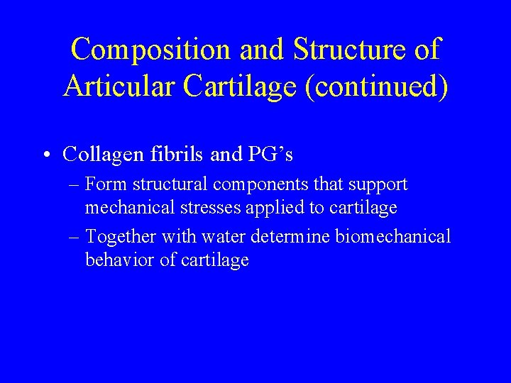 Composition and Structure of Articular Cartilage (continued) • Collagen fibrils and PG’s – Form