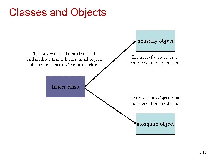 Classes and Objects housefly object The Insect class defines the fields and methods that