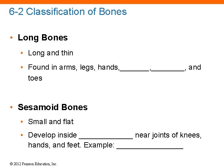 6 -2 Classification of Bones • Long and thin • Found in arms, legs,