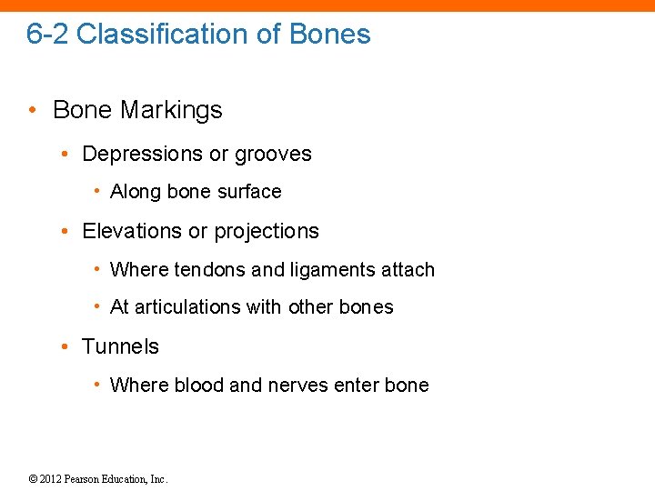 6 -2 Classification of Bones • Bone Markings • Depressions or grooves • Along