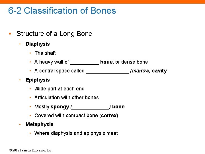 6 -2 Classification of Bones • Structure of a Long Bone • Diaphysis •