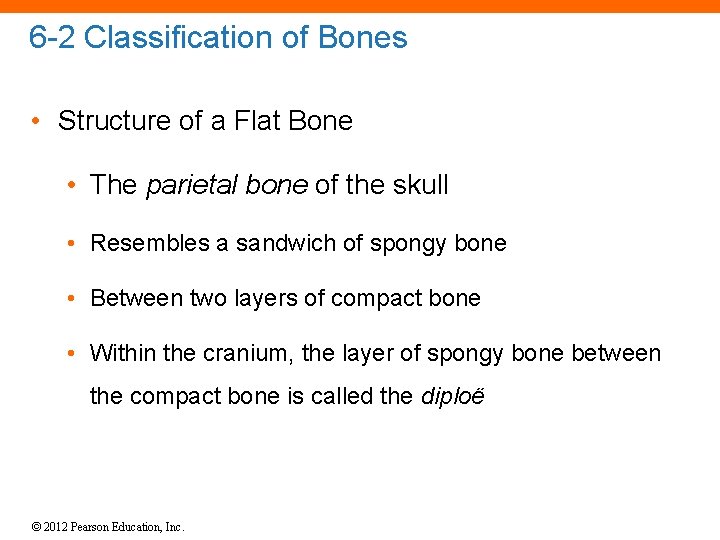 6 -2 Classification of Bones • Structure of a Flat Bone • The parietal