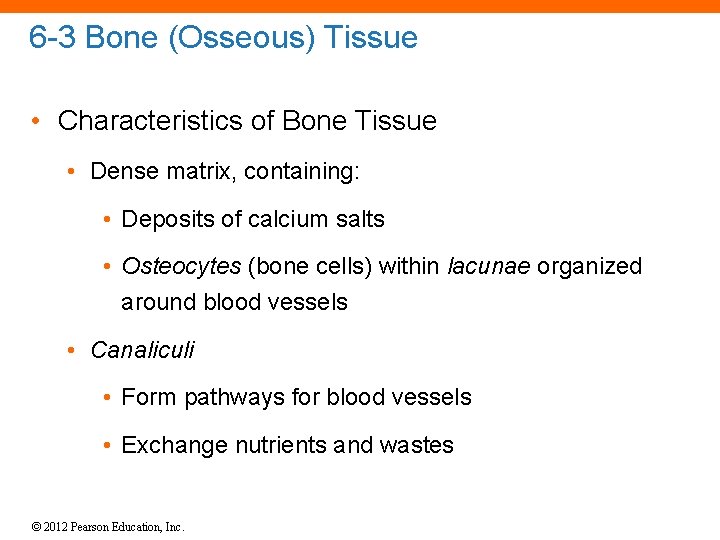 6 -3 Bone (Osseous) Tissue • Characteristics of Bone Tissue • Dense matrix, containing: