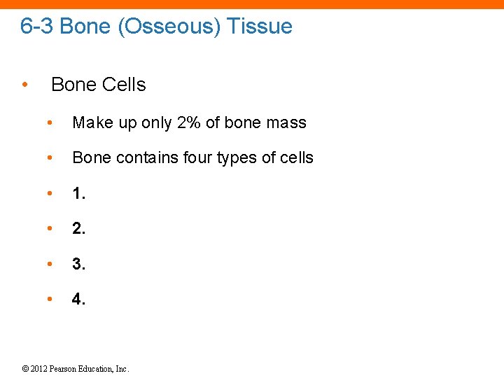 6 -3 Bone (Osseous) Tissue • Bone Cells • Make up only 2% of