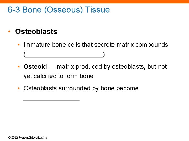 6 -3 Bone (Osseous) Tissue • Osteoblasts • Immature bone cells that secrete matrix