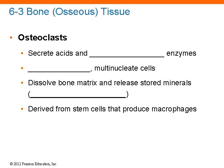 6 -3 Bone (Osseous) Tissue • Osteoclasts • Secrete acids and _________ enzymes •