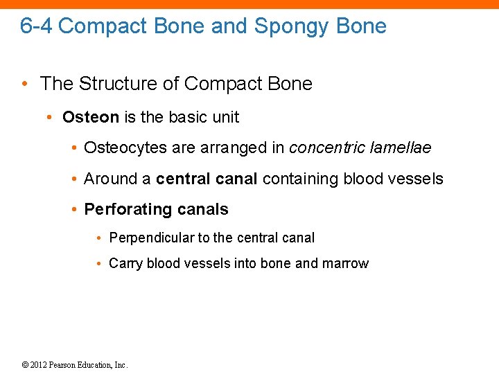6 -4 Compact Bone and Spongy Bone • The Structure of Compact Bone •