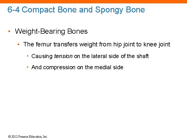 6 -4 Compact Bone and Spongy Bone • Weight-Bearing Bones • The femur transfers