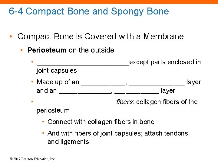 6 -4 Compact Bone and Spongy Bone • Compact Bone is Covered with a