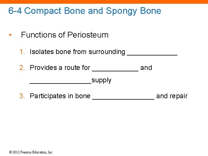 6 -4 Compact Bone and Spongy Bone • Functions of Periosteum 1. Isolates bone