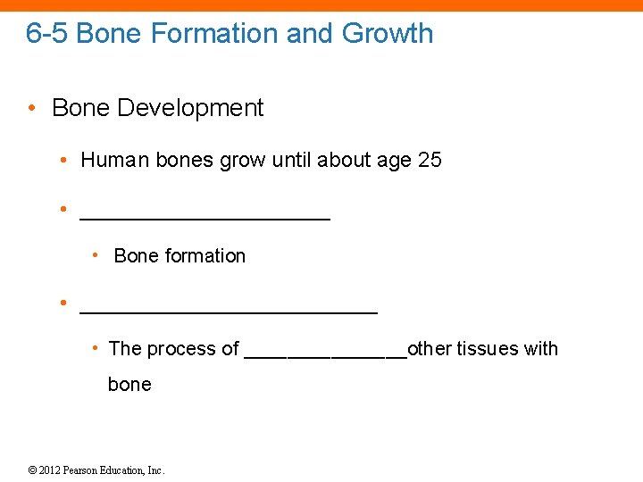 6 -5 Bone Formation and Growth • Bone Development • Human bones grow until