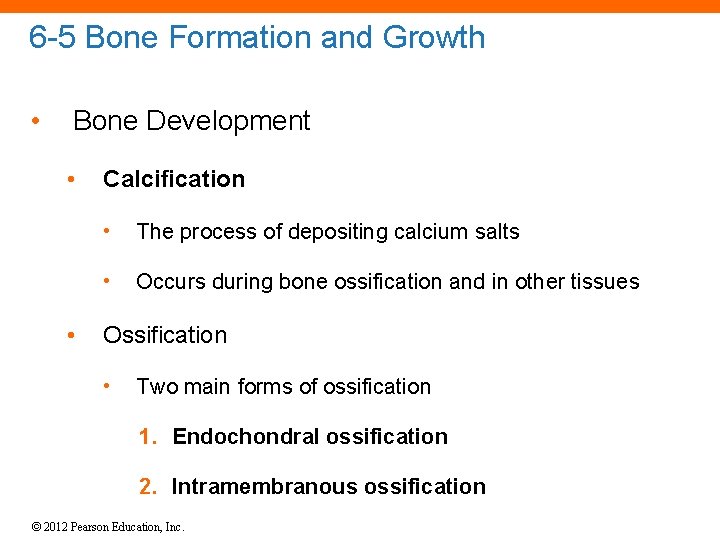 6 -5 Bone Formation and Growth • Bone Development • • Calcification • The