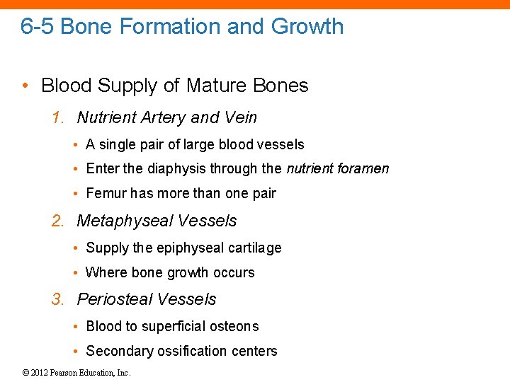 6 -5 Bone Formation and Growth • Blood Supply of Mature Bones 1. Nutrient