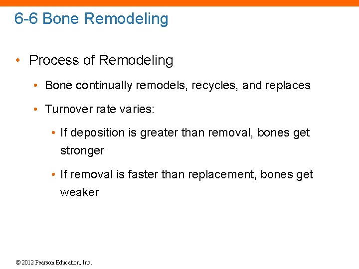 6 -6 Bone Remodeling • Process of Remodeling • Bone continually remodels, recycles, and