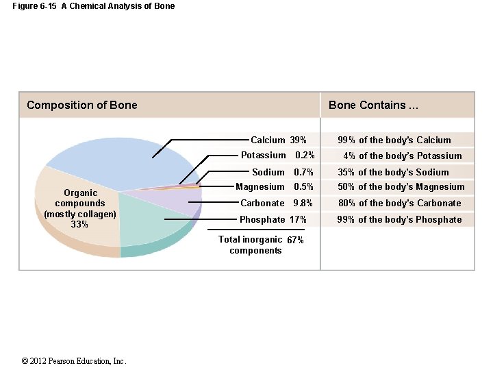 Figure 6 -15 A Chemical Analysis of Bone Contains … Composition of Bone Calcium