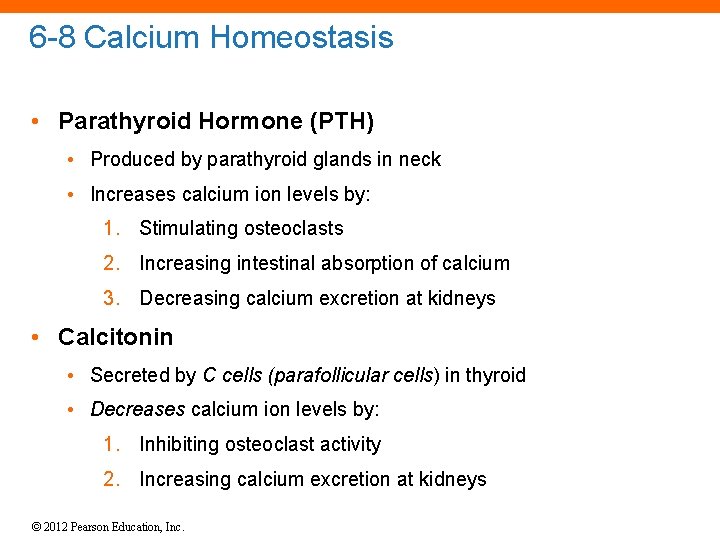 6 -8 Calcium Homeostasis • Parathyroid Hormone (PTH) • Produced by parathyroid glands in