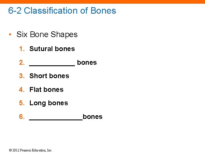 6 -2 Classification of Bones • Six Bone Shapes 1. Sutural bones 2. ______