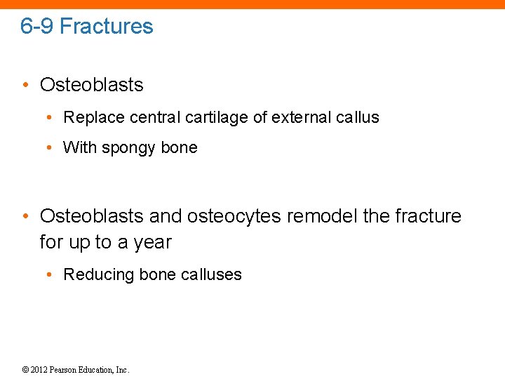 6 -9 Fractures • Osteoblasts • Replace central cartilage of external callus • With