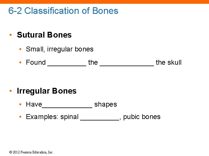 6 -2 Classification of Bones • Sutural Bones • Small, irregular bones • Found