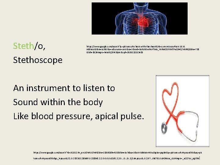 Chest Steth/o, Stethoscope https: //www. google. com/search? q=picture+of+chest+with+the+heart&rls=com. microsoft: en-US: IEAddress&tbm=isch&tbo=u&source=univ&sa=X&ved=0 ah. UKEwi. Po.