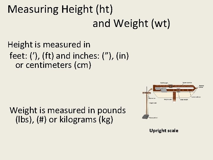 Measuring Height (ht) and Weight (wt) Height is measured in feet: (’), (ft) and