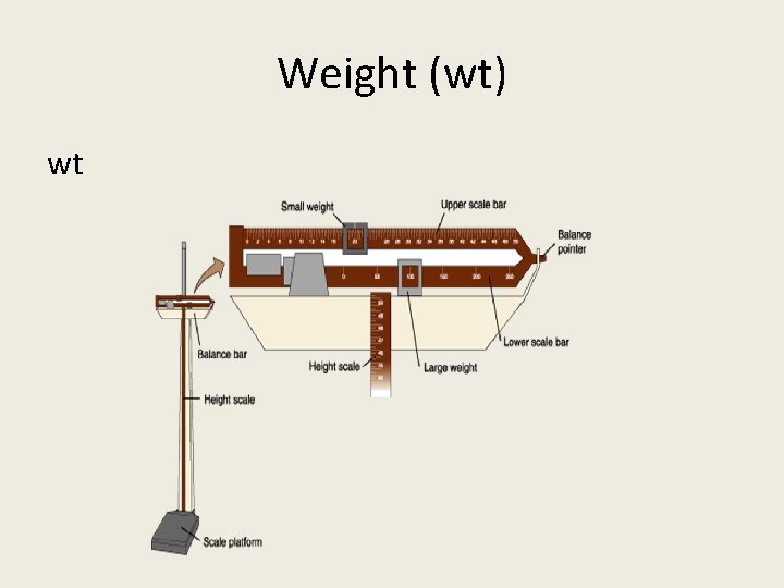 Weight (wt) wt 