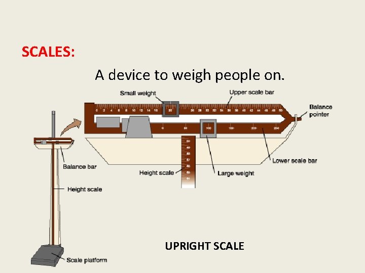 SCALES: A device to weigh people on. UPRIGHT SCALE 