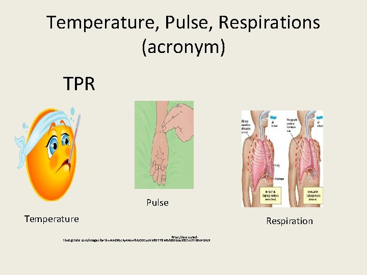 Temperature, Pulse, Respirations (acronym) TPR Pulse Temperature Respiration https: //encryptedtbn 0. gstatic. com/images? q=tbn: