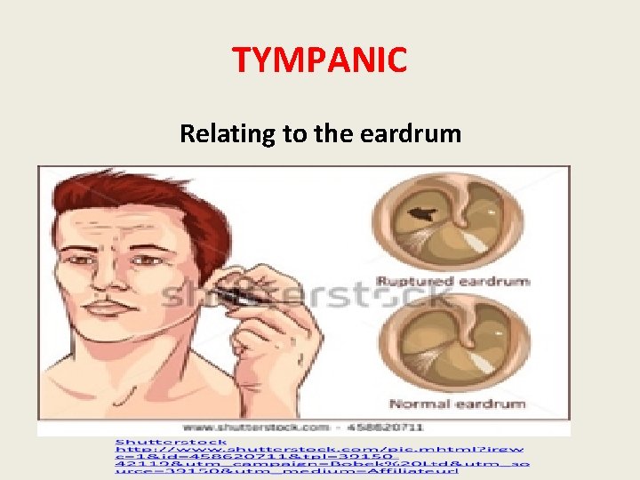 TYMPANIC Relating to the eardrum 