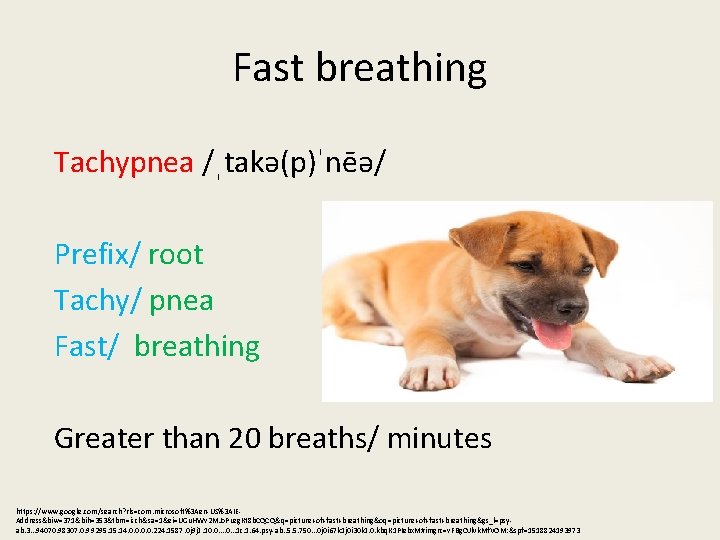 Fast breathing Tachypnea /ˌtakə(p)ˈnēə/ Prefix/ root Tachy/ pnea Fast/ breathing Greater than 20 breaths/