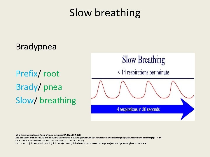 Slow breathing Bradypnea Prefix/ root Brady/ pnea Slow/ breathing https: //www. google. com/search? rls=com.