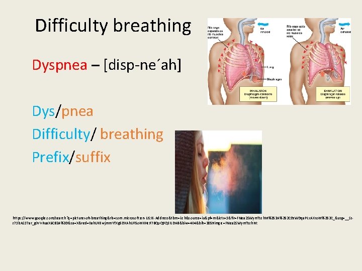 Difficulty breathing Dyspnea – [disp-ne´ah] Dys/pnea Difficulty/ breathing Prefix/suffix https: //www. google. com/search? q=picture+of+breathing&rls=com.